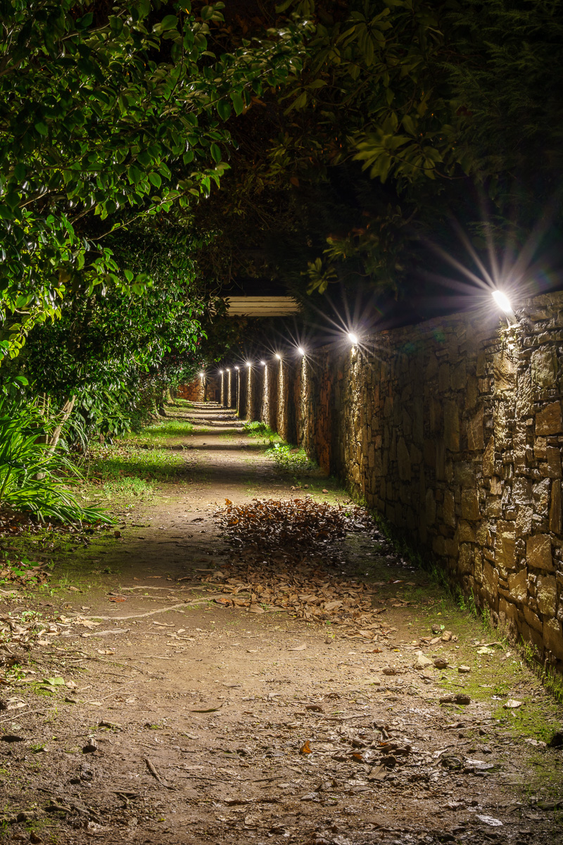 Imagen La senda peatonal del pazo de Arillo