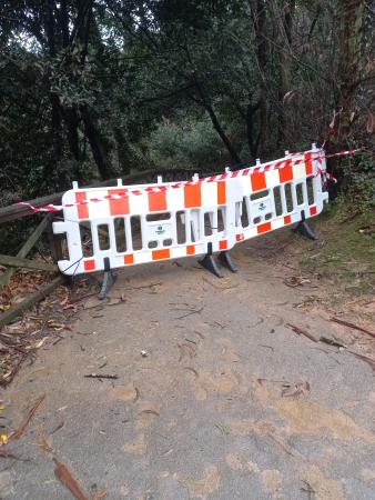 Imaxe Un desprendemento obriga a pechar a pasarela entre Santa Cruz e o Parque...